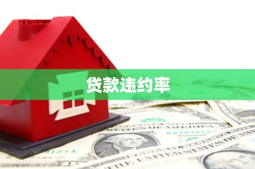 荥阳贷款违约率