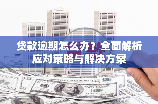 荥阳贷款逾期怎么办？全面解析应对策略与解决方案
