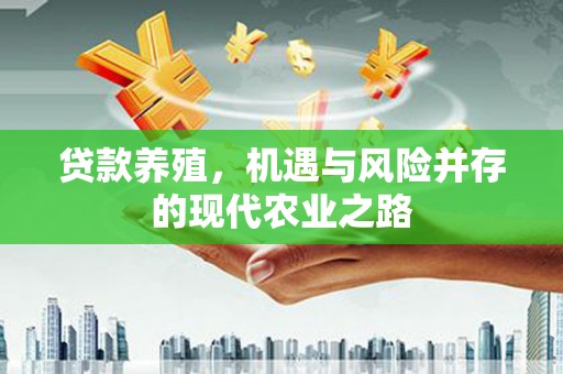 荥阳贷款养殖，机遇与风险并存的现代农业之路