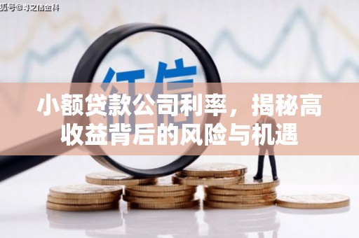 荥阳小额贷款公司利率，揭秘高收益背后的风险与机遇