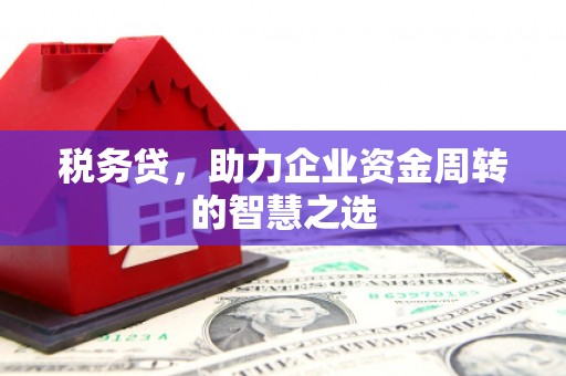 荥阳税务贷，助力企业资金周转的智慧之选