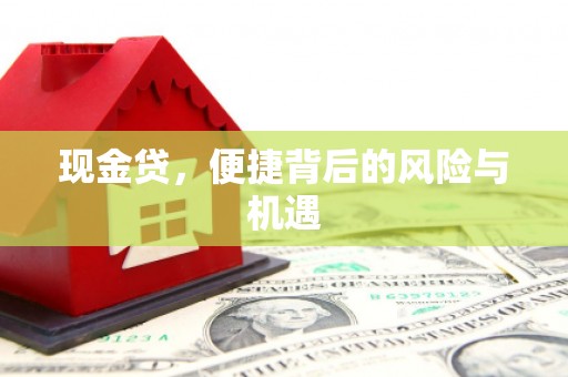 荥阳现金贷，便捷背后的风险与机遇