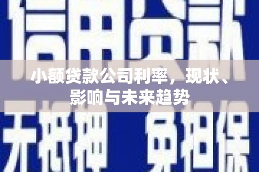 荥阳小额贷款公司利率，现状、影响与未来趋势