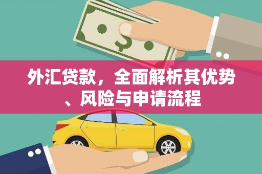 荥阳外汇贷款，全面解析其优势、风险与申请流程