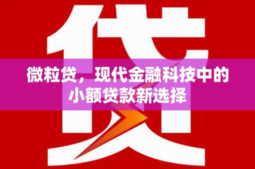 荥阳微粒贷，现代金融科技中的小额贷款新选择