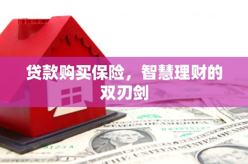 荥阳贷款购买保险，智慧理财的双刃剑