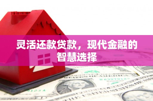 荥阳灵活还款贷款，现代金融的智慧选择