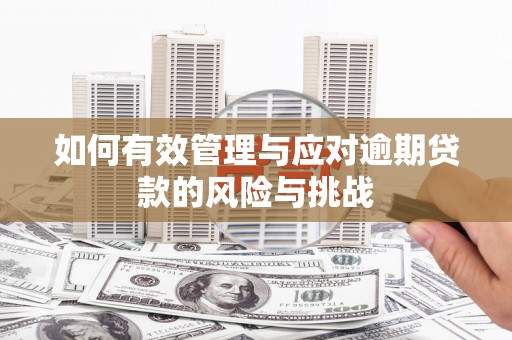 荥阳如何有效管理与应对逾期贷款的风险与挑战