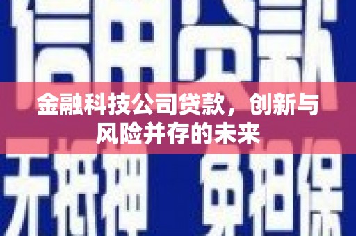 荥阳金融科技公司贷款，创新与风险并存的未来