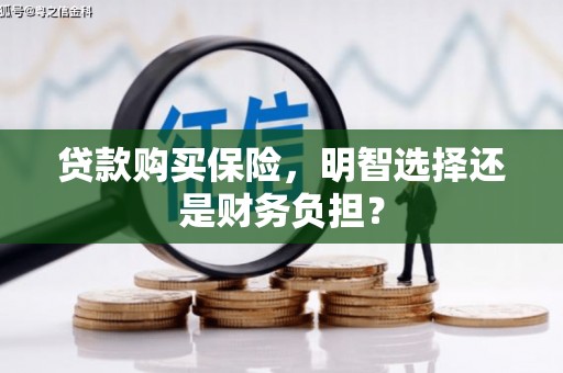 荥阳贷款购买保险，明智选择还是财务负担？