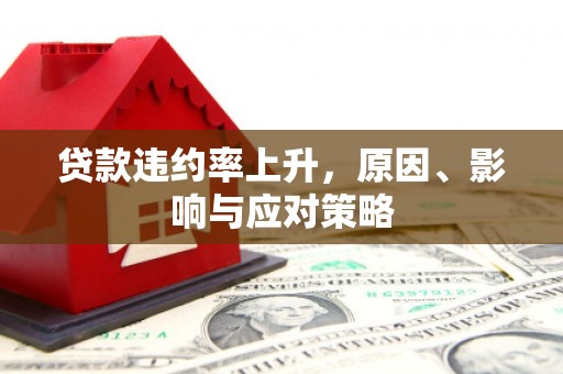 荥阳贷款违约率上升，原因、影响与应对策略