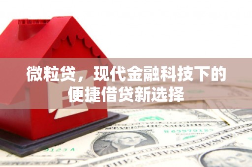 荥阳微粒贷，现代金融科技下的便捷借贷新选择