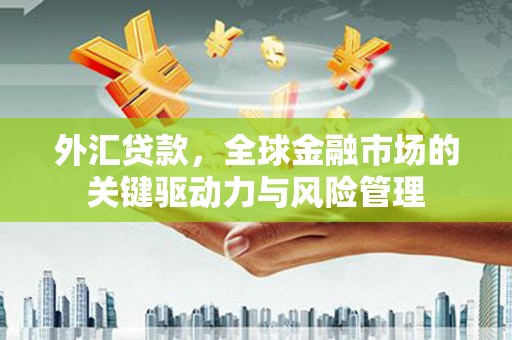 荥阳外汇贷款，全球金融市场的关键驱动力与风险管理