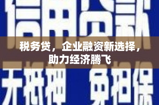 荥阳税务贷，企业融资新选择，助力经济腾飞