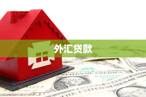 荥阳外汇贷款