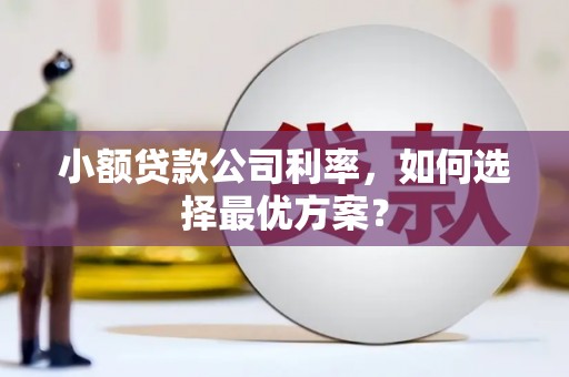 荥阳小额贷款公司利率，如何选择最优方案？