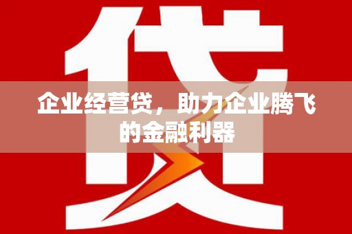 荥阳企业经营贷，助力企业腾飞的金融利器