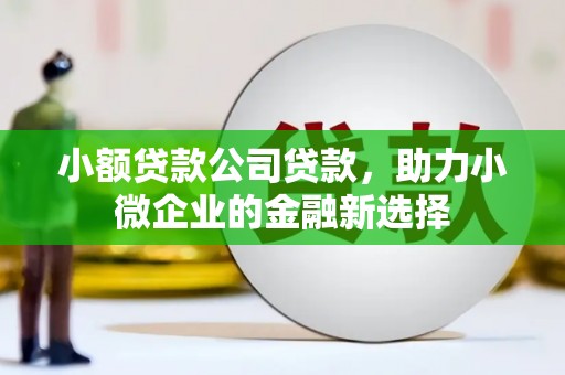 荥阳小额贷款公司贷款，助力小微企业的金融新选择