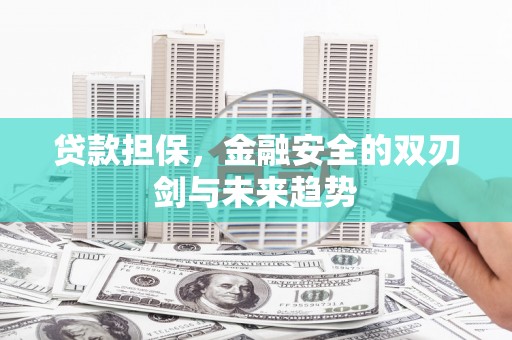 荥阳贷款担保，金融安全的双刃剑与未来趋势