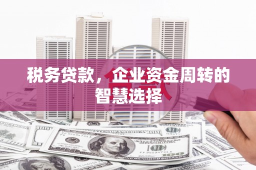 荥阳税务贷款，企业资金周转的智慧选择