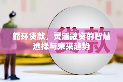 荥阳循环贷款，灵活融资的智慧选择与未来趋势