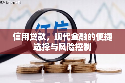 荥阳信用贷款，现代金融的便捷选择与风险控制