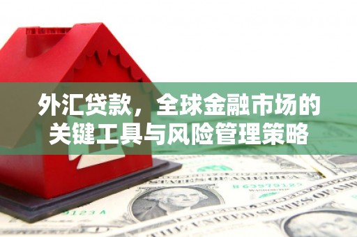 荥阳外汇贷款，全球金融市场的关键工具与风险管理策略