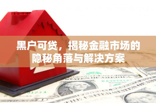 荥阳黑户可贷，揭秘金融市场的隐秘角落与解决方案