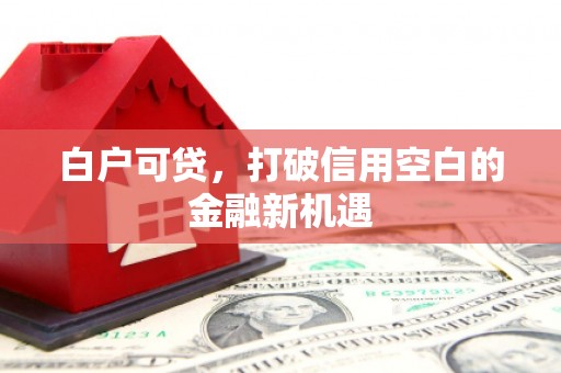 荥阳白户可贷，打破信用空白的金融新机遇