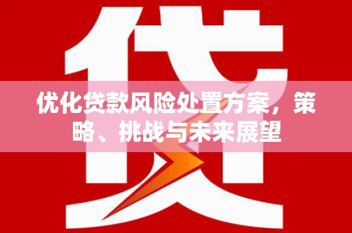 荥阳优化贷款风险处置方案，策略、挑战与未来展望