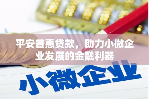 荥阳平安普惠贷款，助力小微企业发展的金融利器