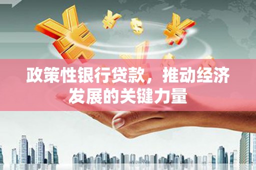 荥阳政策性银行贷款，推动经济发展的关键力量