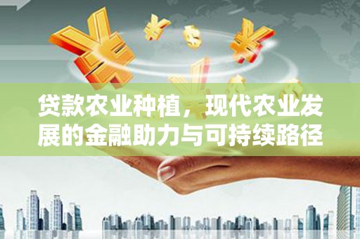 荥阳贷款农业种植，现代农业发展的金融助力与可持续路径