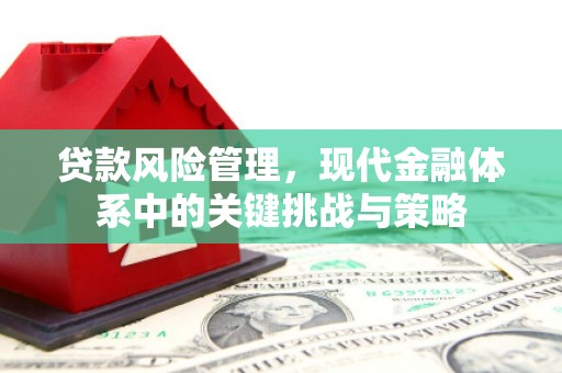 荥阳贷款风险管理，现代金融体系中的关键挑战与策略