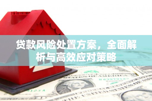 荥阳贷款风险处置方案，全面解析与高效应对策略