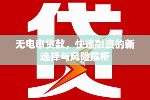 荥阳无电审贷款，快速融资的新选择与风险解析