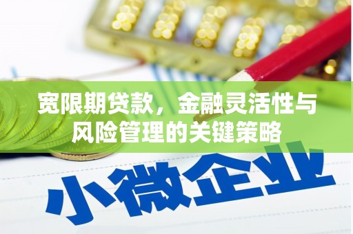 荥阳宽限期贷款，金融灵活性与风险管理的关键策略