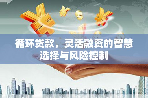 荥阳循环贷款，灵活融资的智慧选择与风险控制