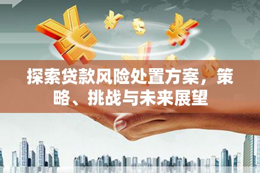荥阳探索贷款风险处置方案，策略、挑战与未来展望
