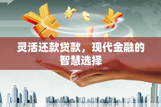 荥阳灵活还款贷款，现代金融的智慧选择
