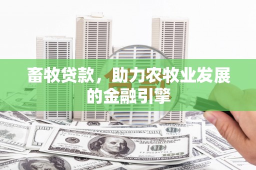 荥阳畜牧贷款，助力农牧业发展的金融引擎