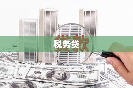 荥阳税务贷