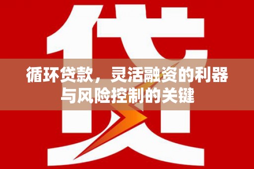 荥阳循环贷款，灵活融资的利器与风险控制的关键