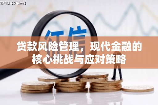 荥阳贷款风险管理，现代金融的核心挑战与应对策略
