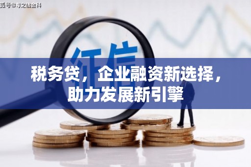 荥阳税务贷，企业融资新选择，助力发展新引擎