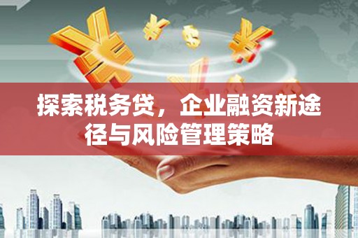 荥阳探索税务贷，企业融资新途径与风险管理策略