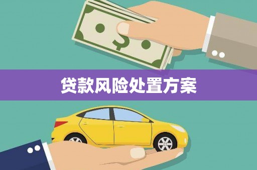 荥阳贷款风险处置方案