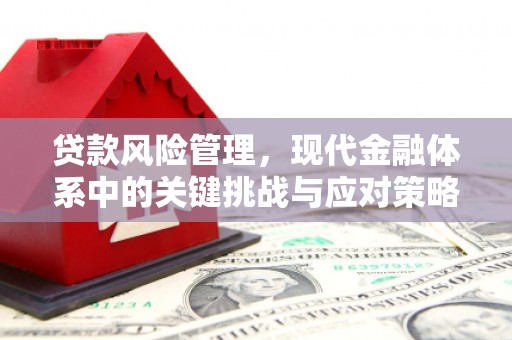 荥阳贷款风险管理，现代金融体系中的关键挑战与应对策略