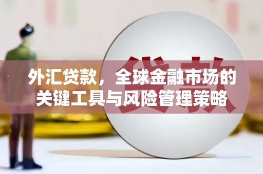 荥阳外汇贷款，全球金融市场的关键工具与风险管理策略