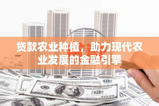 荥阳贷款农业种植，助力现代农业发展的金融引擎